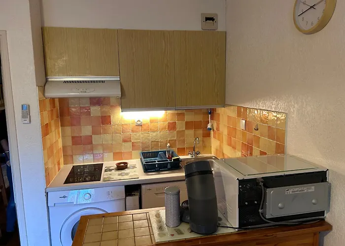 Appartement climatisé avec jardin et plage à 250m