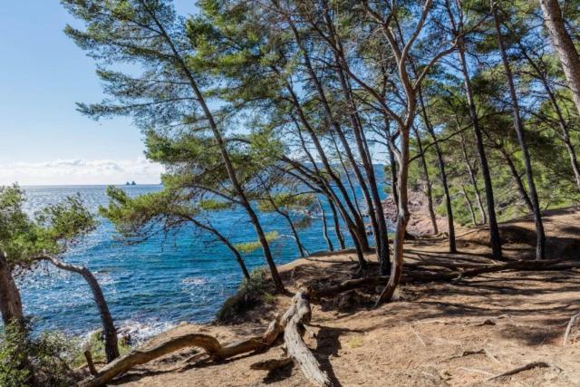 Climatise Avec Jardin Et A 250m Apartment Saint-Mandrier-sur-Mer