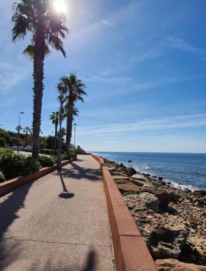 Apartment Climatise Avec Jardin Et A 250m Saint-Mandrier-sur-Mer